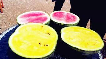 翔霖吃瓜爆料,娱乐圈幕后真相大揭秘