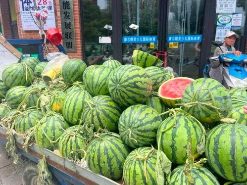 去河南吃瓜,探寻瓜果飘香的舌尖盛宴