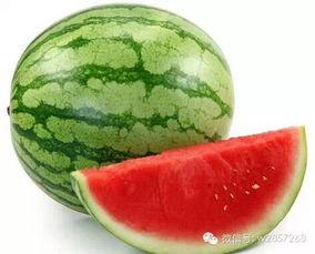 吃瓜防暑图片,吃瓜防暑，趣味降温新风尚