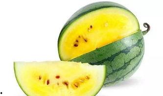 瓜瓜吃瓜简短版,轻松简短版揭秘