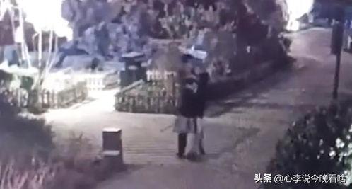 灌南吃瓜事件视频,一场引发热议的网络视频风波